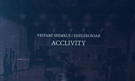 Vestards Šimkus / Endless Roar "Acclivity"