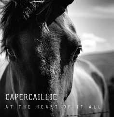 Capercaillie "At the Heart of It All"