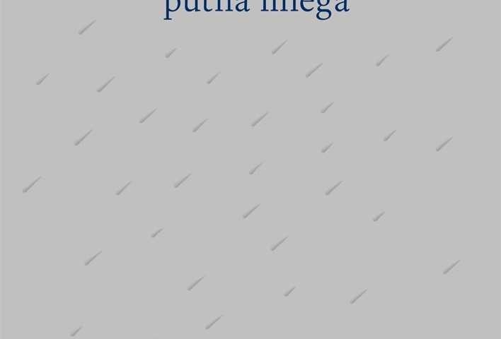 Inese Zandere. "Putna miegā"